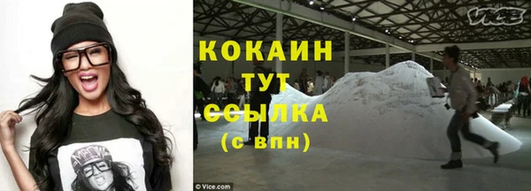соль ск Краснослободск