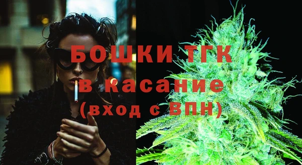 спайс Кулебаки