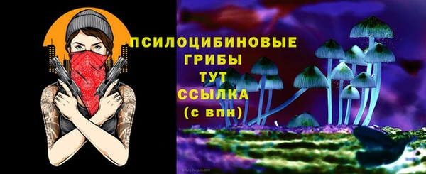 МДПВ Куйбышев