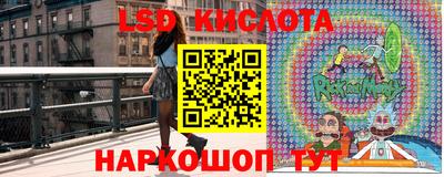 ГАЛЛЮЦИНОГЕННЫЕ ГРИБЫ Заводоуковск
